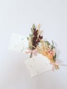 Wedding decor, greeting cards, or guest seats. Wedding and festive decor. Flowers. Space for text, white background, top Royalty Free Stock Photo