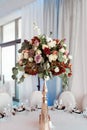 Wedding decor, interior. Festive. Banquet table. Modern wedding decorations. Royalty Free Stock Photo