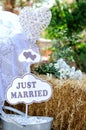 Wedding decor for newlyweds Royalty Free Stock Photo