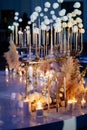 Wedding decor night Candles, white dried flowers Royalty Free Stock Photo