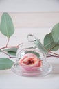 Wedding decor peach rose in glass jar and light green eucalyptus Royalty Free Stock Photo