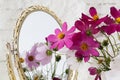 Wedding decor: pink and white flowers, vase, mirror Royalty Free Stock Photo