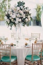 Wedding decor in white green tones Royalty Free Stock Photo