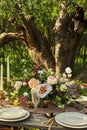 wedding decorated table, decor wedding dinner in nature in the garden Royalty Free Stock Photo