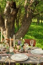 wedding decorated table, decor wedding dinner in nature in the garden Royalty Free Stock Photo
