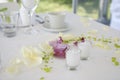 Wedding decoration Royalty Free Stock Photo