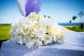 Wedding decoration Royalty Free Stock Photo