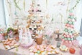 Wedding decoration with pastel colored cupcakes, meringues, muffins and macarons Royalty Free Stock Photo