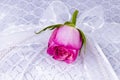 Wedding decoration with a rose