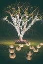 Wedding decorations Royalty Free Stock Photo