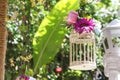 Wedding decorative birdcage with flowers on natural back