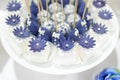 Wedding dessert cake pops Royalty Free Stock Photo