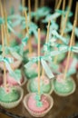 Wedding dessert cake pops Royalty Free Stock Photo