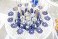 Wedding dessert cake pops Royalty Free Stock Photo