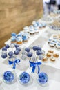 Wedding dessert cake pops Royalty Free Stock Photo