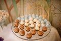 Wedding dessert Cake pops and sweets Royalty Free Stock Photo