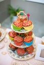 Wedding dessert with delicious cakes Royalty Free Stock Photo