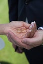 Wedding detail Royalty Free Stock Photo