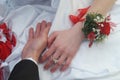 WEDDING-DETAILS I Royalty Free Stock Photo