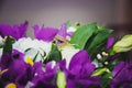 Wedding details: two golden wedding rings on a purple flower Royalty Free Stock Photo