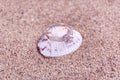 Wedding diamond engagement ring on sea shell and sandy blurred Royalty Free Stock Photo