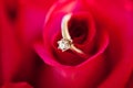 Wedding diamond Ring in Rose, Will you marry me?