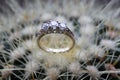 wedding diamont ring