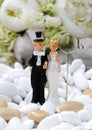 Wedding doll Royalty Free Stock Photo