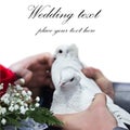 Wedding doves Royalty Free Stock Photo