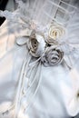 Wedding dress Royalty Free Stock Photo