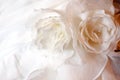 Wedding dress detail Royalty Free Stock Photo