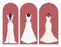Wedding bride dress elegance style celebration bridal shower clothing accessories vector illustration. Royalty Free Stock Photo