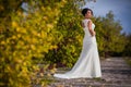 Wedding dress with a train Royalty Free Stock Photo