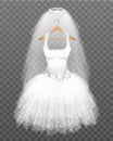 Wedding Dress with Veil