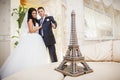 Wedding Eiffel Tower Royalty Free Stock Photo