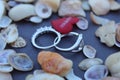 Wedding or engagements rings display with selective focus. Royalty Free Stock Photo