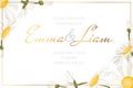 Daisy chamomile flowers wedding invitation card