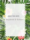 Abstract background with many falling tiny confetti pieces. vector backgroundWedding event invitation card template. Exotic tropic