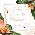 Wedding event invitation card template. Tropical monstera philodendron leaves. Pink flamingos. Orange strelitzia flowers Royalty Free Stock Photo