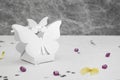 Wedding Favor butterfly shape box Royalty Free Stock Photo