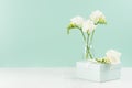 Wedding festive background with closed gift box, fragrance soft white flowers freesia in glass vase in green mint menthe interior. Royalty Free Stock Photo