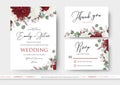 Wedding floral invite, save the date, thank you, rsvp card design with red and white garden rose flowers, seeded eucalyptus Royalty Free Stock Photo