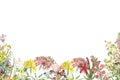 Wedding flower border on white pastel background top view. Royalty Free Stock Photo