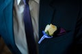 Wedding flower boutonniere groom Royalty Free Stock Photo