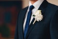 Wedding flower boutonniere groom Royalty Free Stock Photo