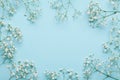 Wedding flower frame on blue background from above. Beautiful floral pattern. Flat lay style. Royalty Free Stock Photo