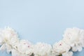 Wedding frame made of beautiful white peony flowers on blue pastel table. Top view and flat lay style. Royalty Free Stock Photo