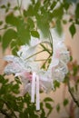 Wedding garter on the plant, bride`s morning, fees