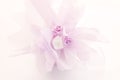 Wedding gift decoration Royalty Free Stock Photo