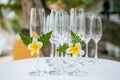 Wedding glass setting